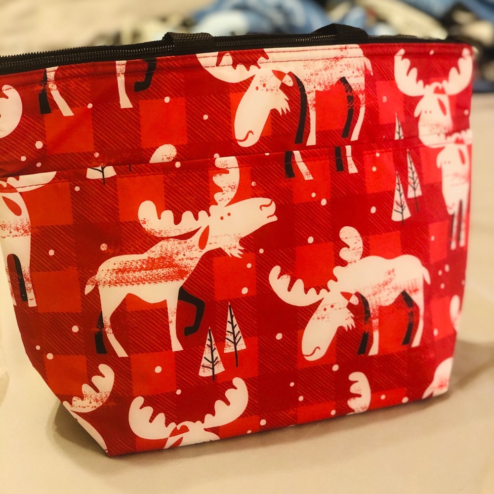 Cooler lunch bag